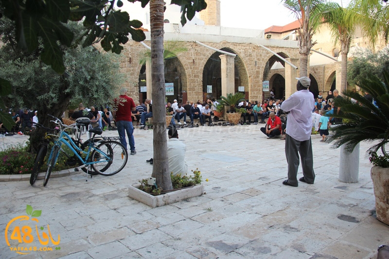 3ed ad7a mahmoudaia (19).JPG